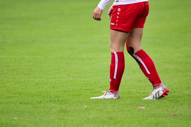 子都不放过 子都不放过