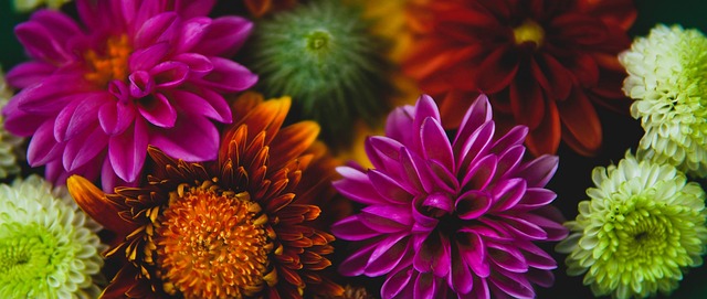 的全面爆发 的全面爆发