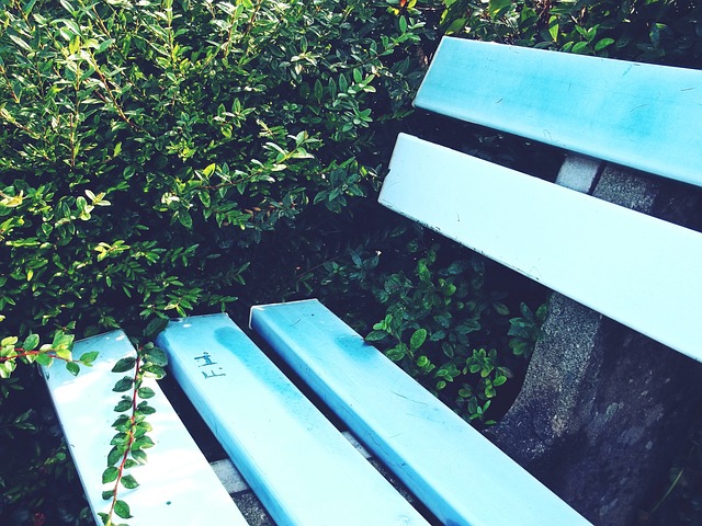 足球之城 足球之城