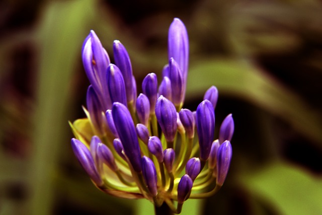 英超｜坦赫格上月不敵韋斯咸被辭退　韋比承認關鍵十二碼誤判.