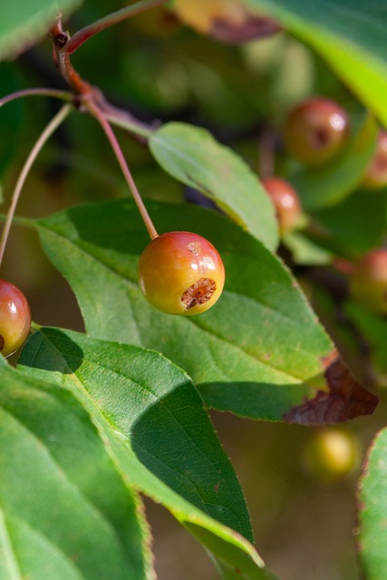 失去了昔日 失去了昔日